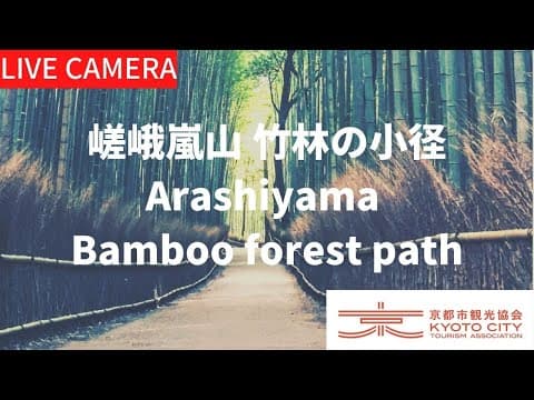 京都 嵯峨嵐山竹林